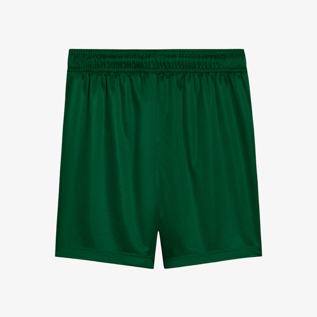 Conjunto Infantil Palmeiras 2025/26 II