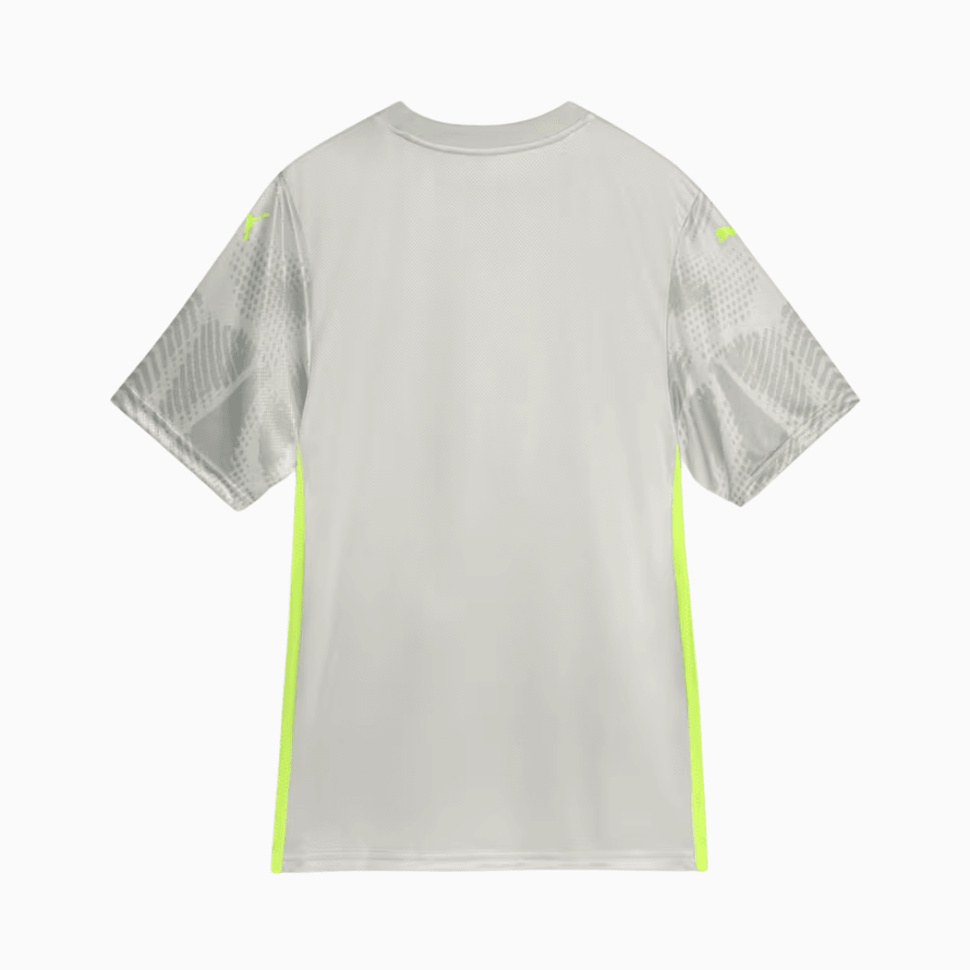 Camisa Palmeiras 2025/26 Goleiro III Jogador
