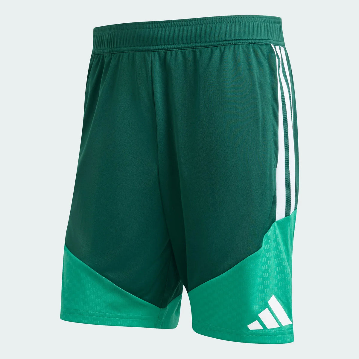 Shorts Algeria 2026 I Treino Copa do Mundo | Torcedor Shop
