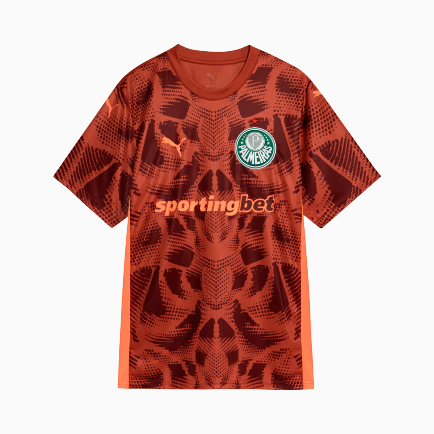 Camisa Palmeiras 2025/26 Goleiro II