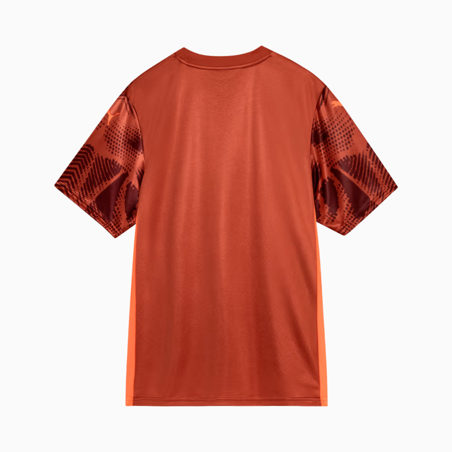 Camisa Palmeiras 2025/26 Goleiro II