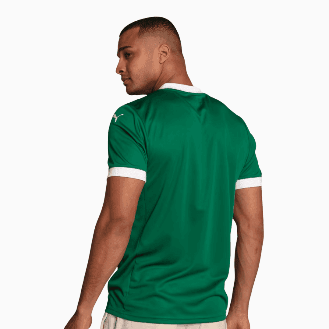 Camisa Palmeiras 2025/26 I Torcedor