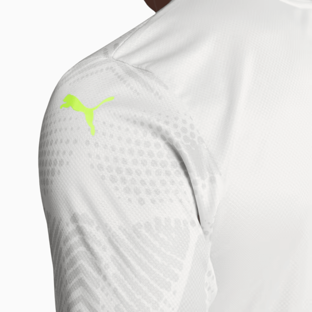 Camisa Palmeiras 2025/26 Goleiro III Jogador
