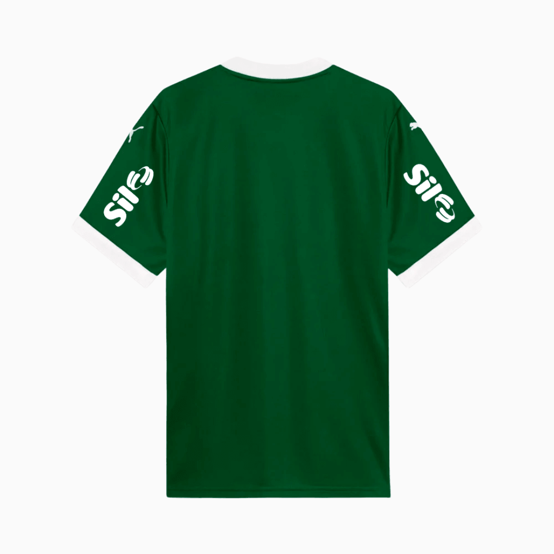 Camisa Palmeiras 2025/26 I Torcedor Com Patrocínios
