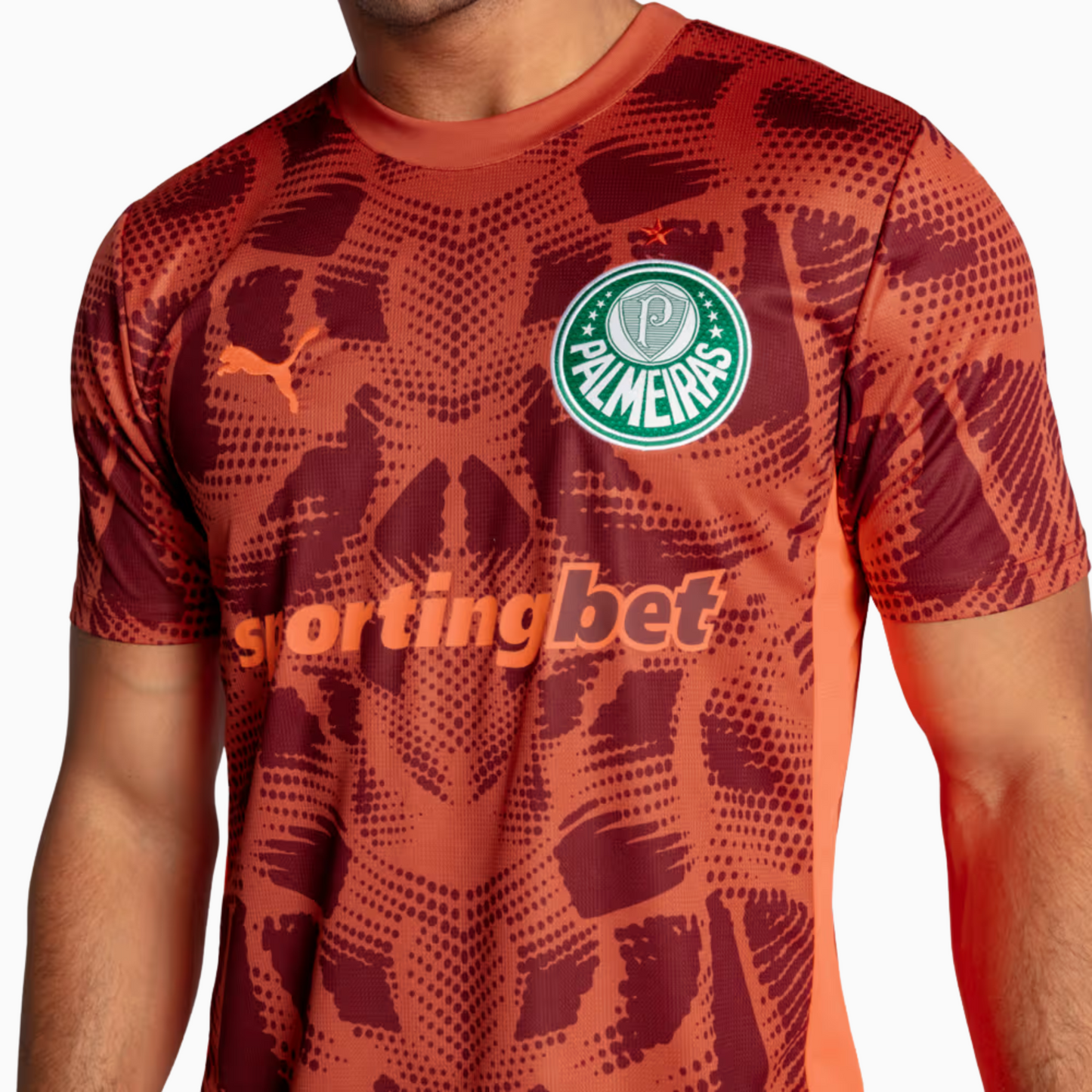 Camisa Palmeiras 2025/26 Goleiro II