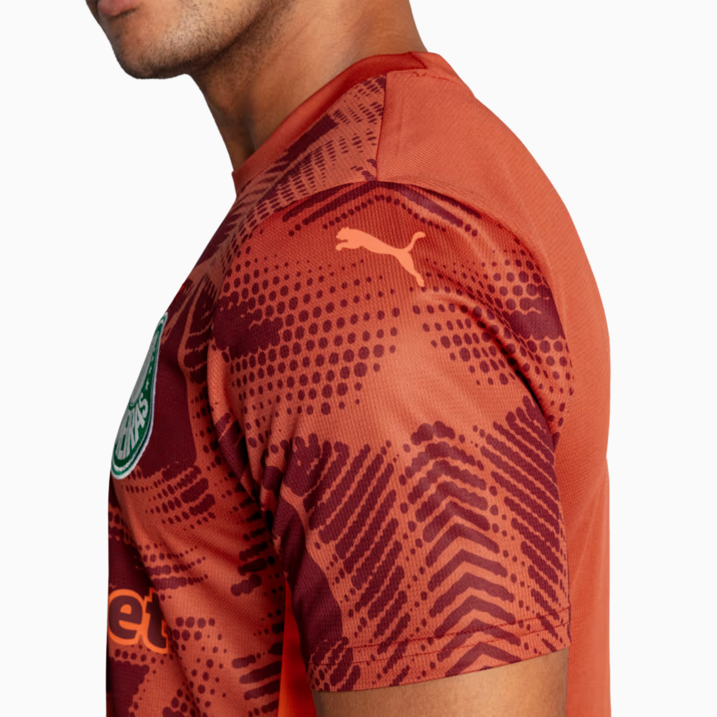 Camisa Palmeiras 2025/26 Goleiro II
