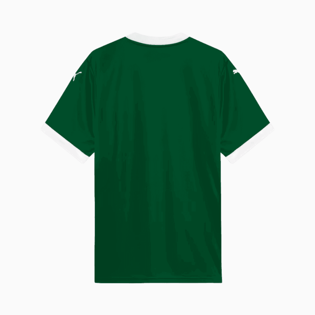Camisa Palmeiras 2025/26 I Torcedor
