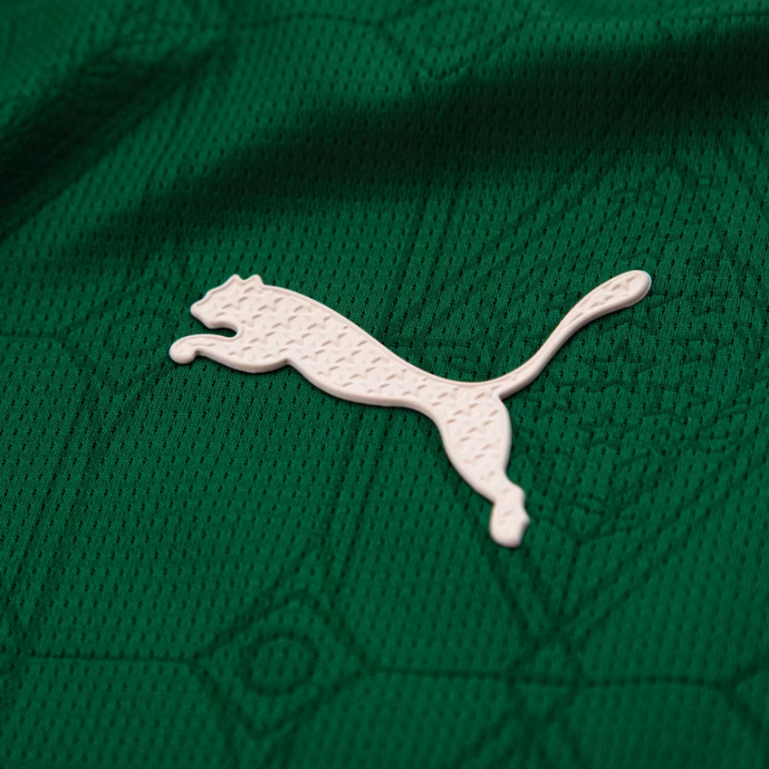 Camisa Palmeiras 2025/26 I Jogador