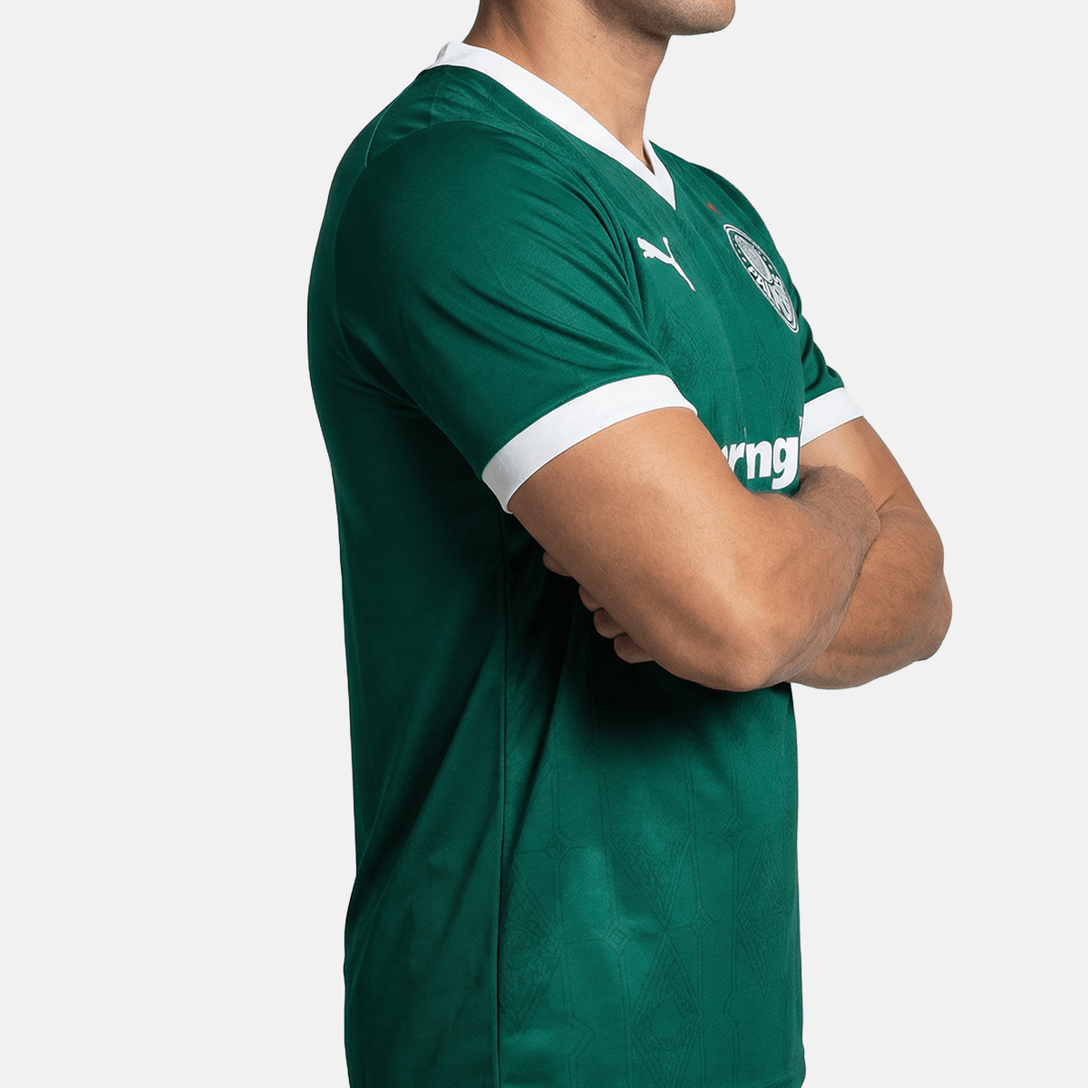 Camisa Palmeiras 2025/26 I Jogador