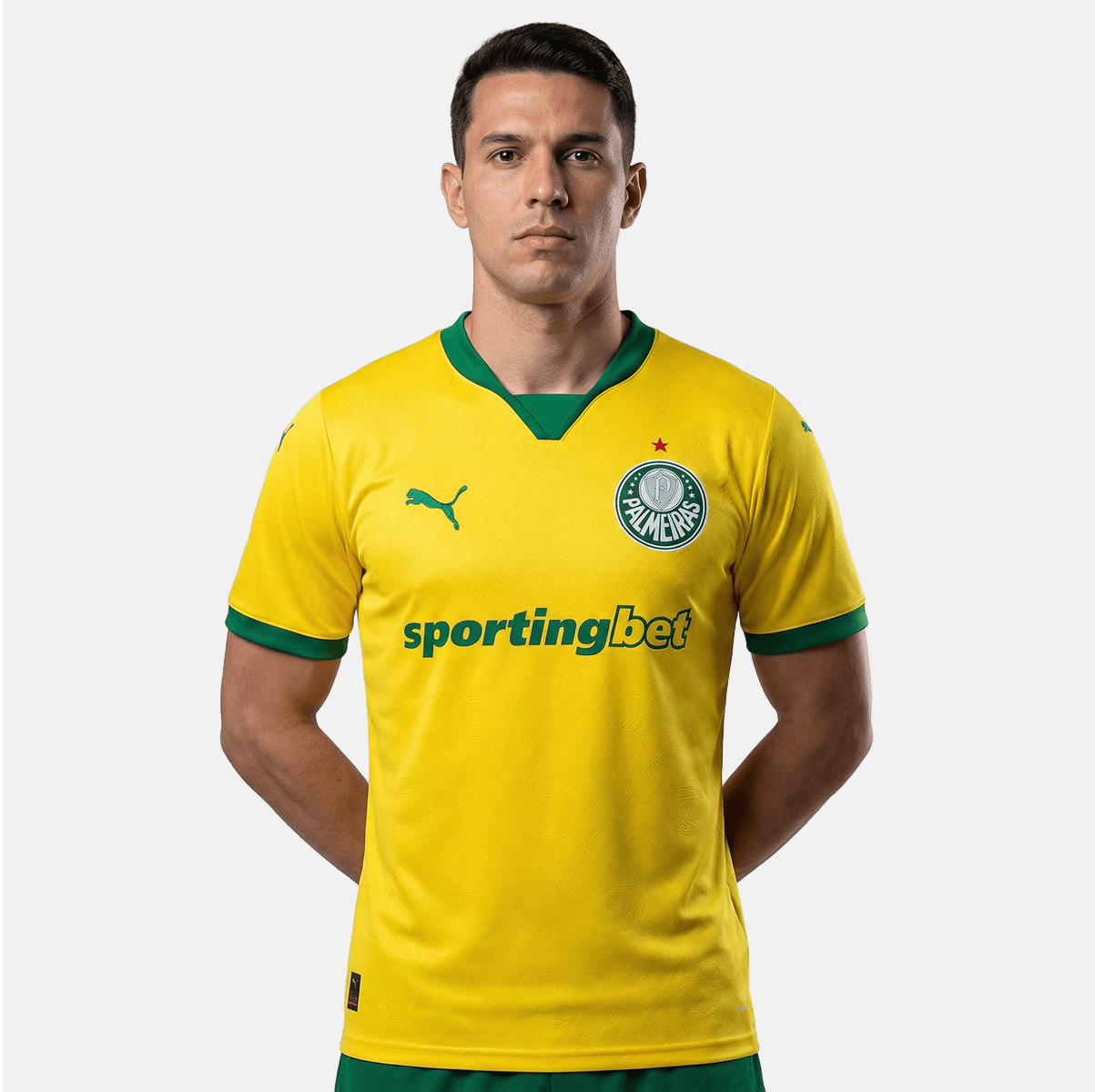Camisa Palmeiras 2025/26 III Torcedor
