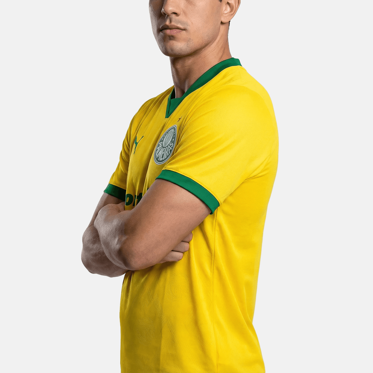 Camisa Palmeiras 2025/26 III Torcedor