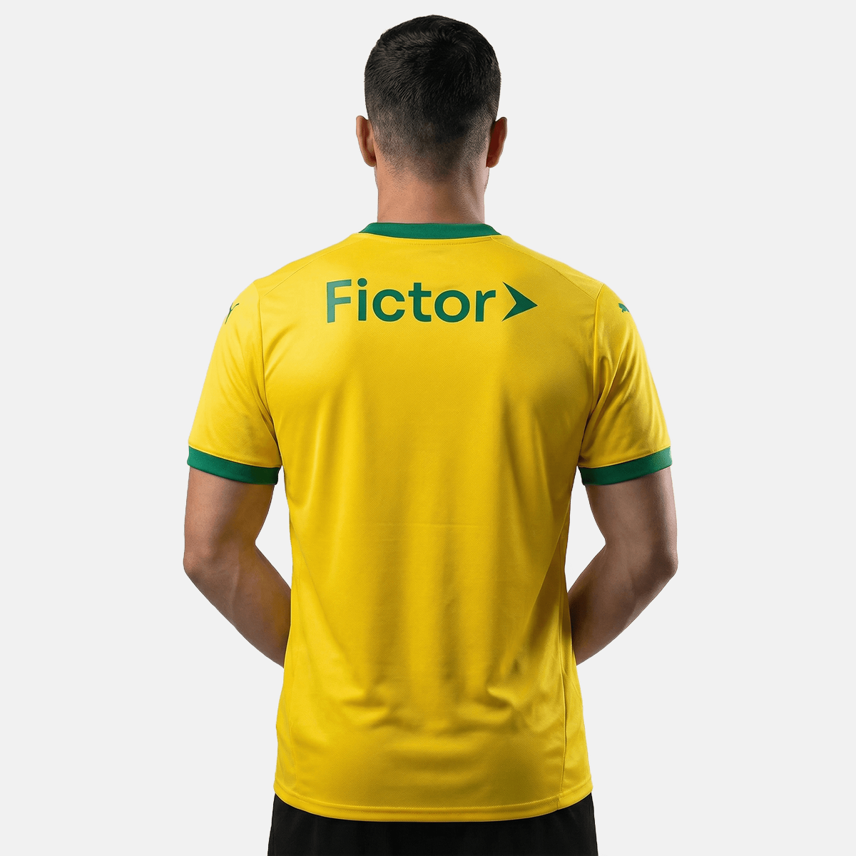 Camisa Palmeiras 2025/26 III Torcedor