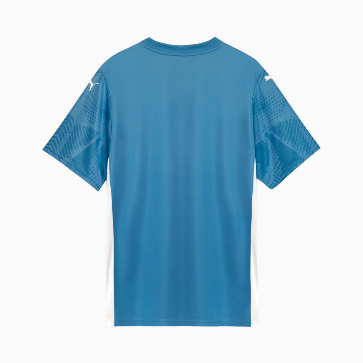 Camisa Goleiro Palmeiras 2025/26 Goleiro I - foto 2 | Torcedor Shop