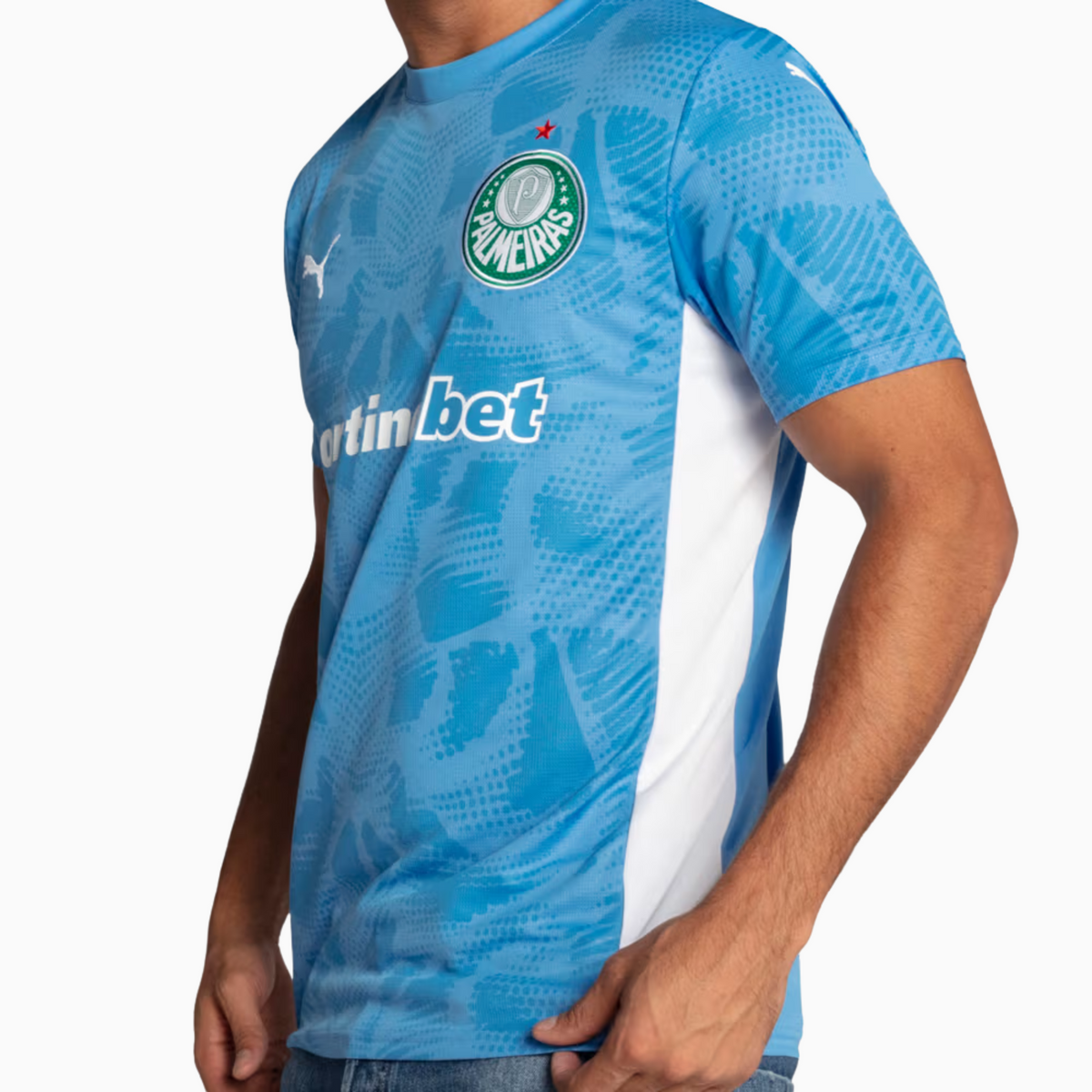 Camisa Goleiro Palmeiras 2025/26 Goleiro I - foto 5 | Torcedor Shop