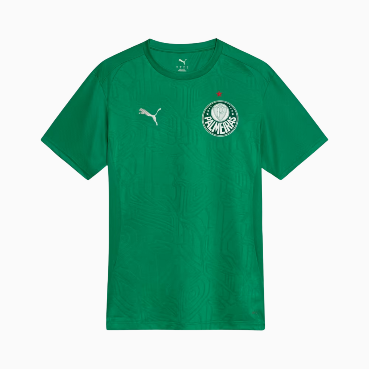 Camisa Palmeiras 2025/26 Treino | Torcedor Shop
