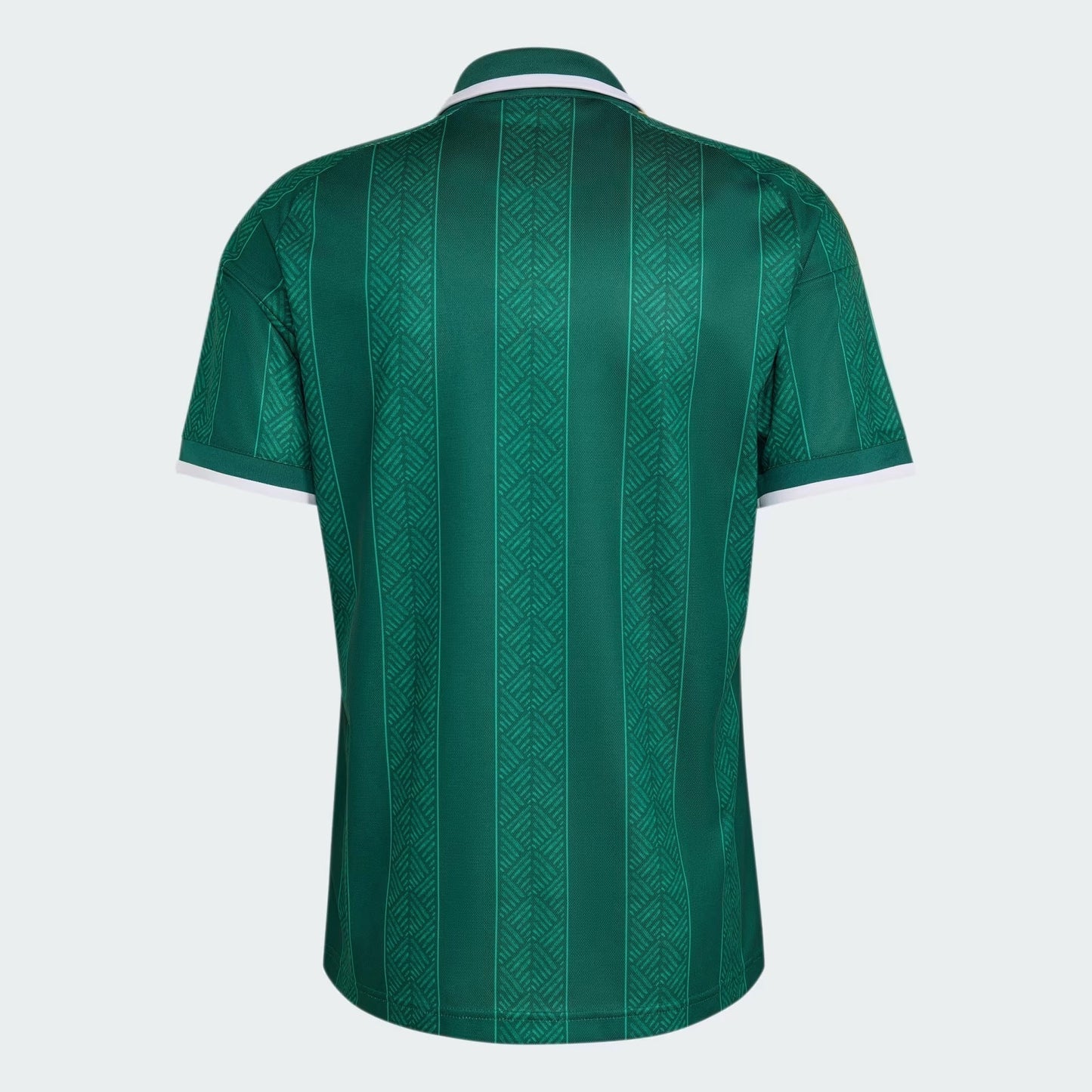 Camisa África do Sul 2026/27 I