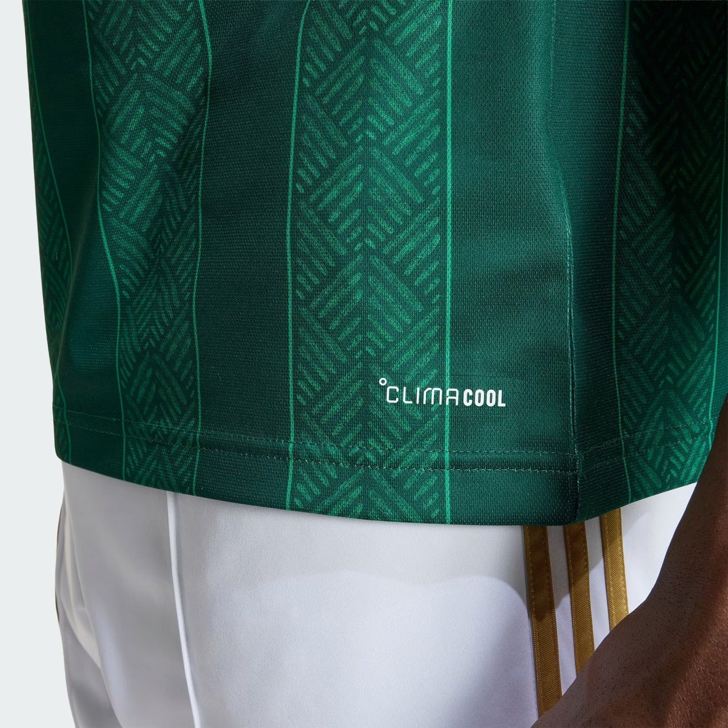 Camisa África do Sul 2026/27 I