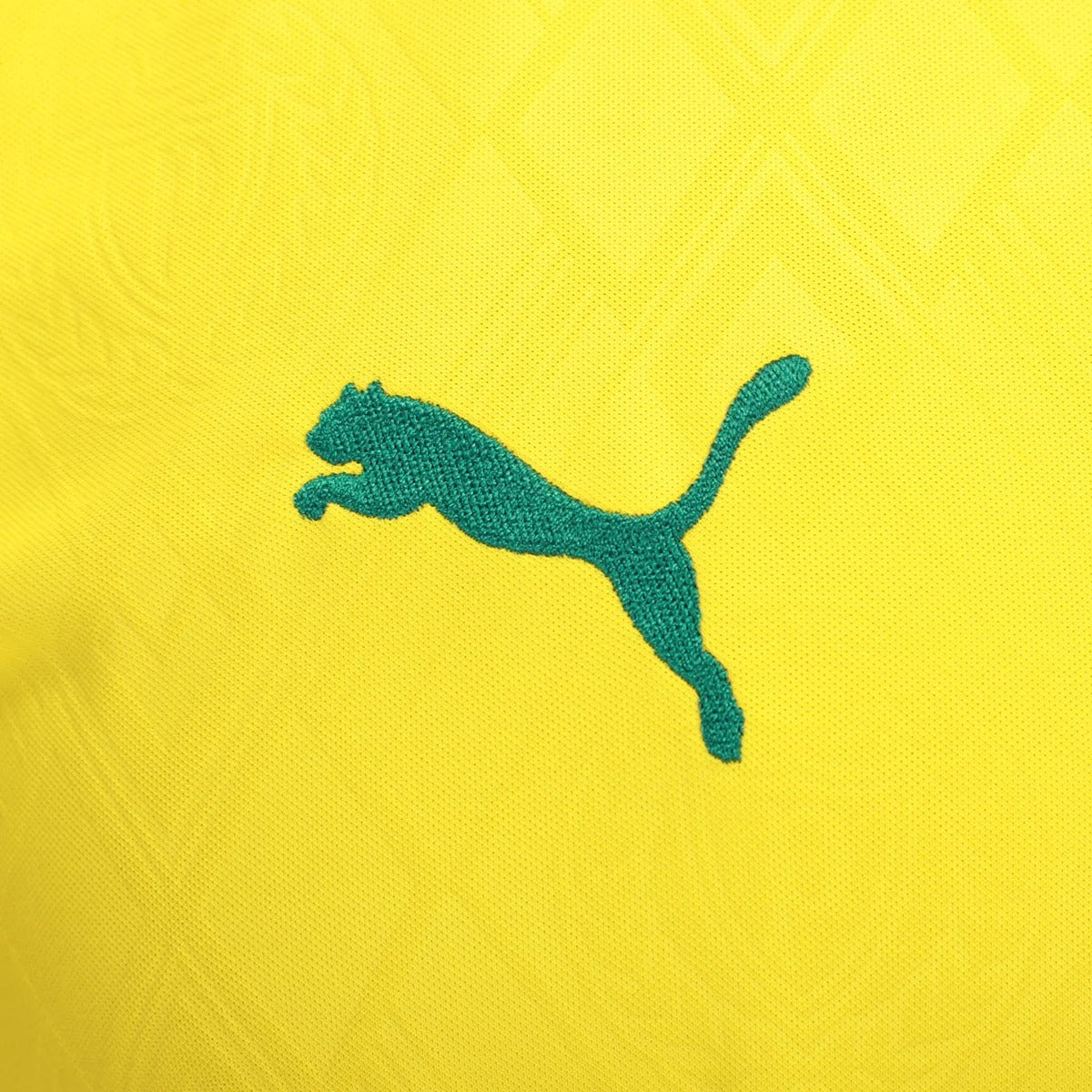 Camisa Palmeiras 2025/26 III Torcedor